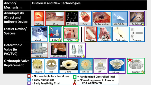 Innovation to address unmet clinical needs in transcatheter valve therapies