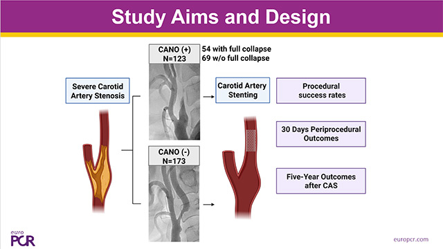 Optimised patient selection for carotid artery stenting