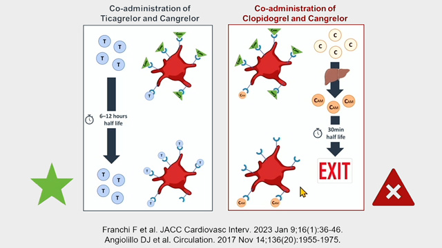 Redefining complex PCI: impact of real-world data and novel evidence on IV antithrombotic strategies