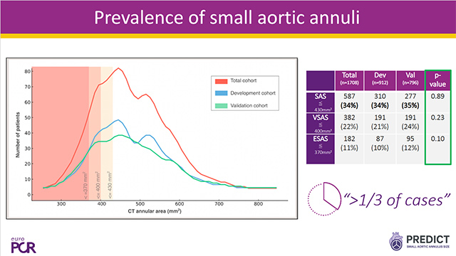 TAVI in patients with a small annulus