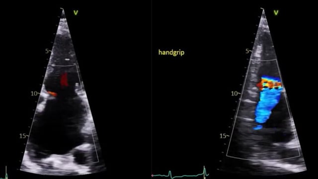 Abstracts and challenging clinical cases