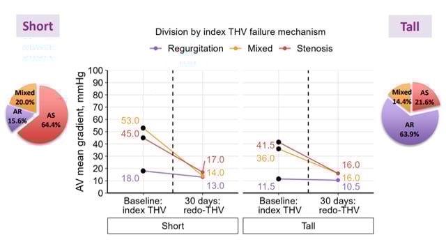 Featured research - TAVI: Redo strategies, valve performance & access safety