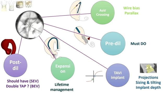 Lessons learned to pave the way for future-proof strategies in TAVI