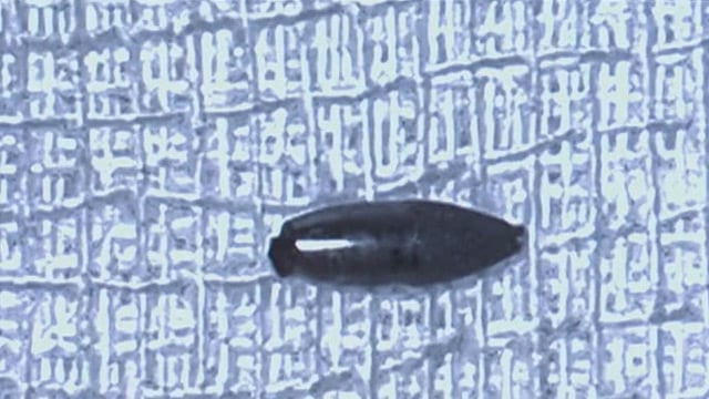 The best cases of the Euro4C PCRonline website