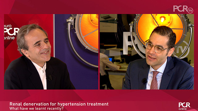 Renal denervation for hypertension treatment: What have we learnt recently?