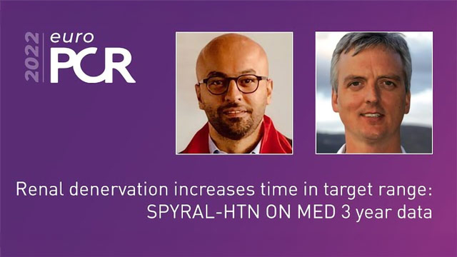 Hypertension management in 2022: Latest data on renal denervation