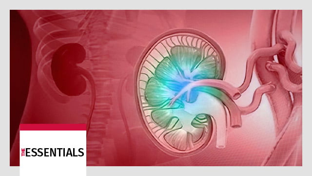 Hypertension - the silver bullet of medicine