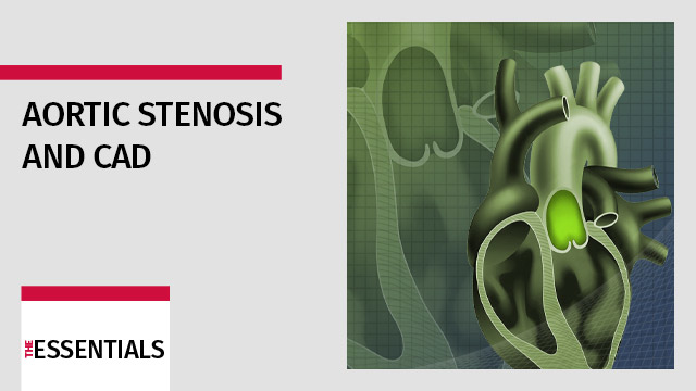Aortic stenosis and coronary artery disease: which should be treated first?