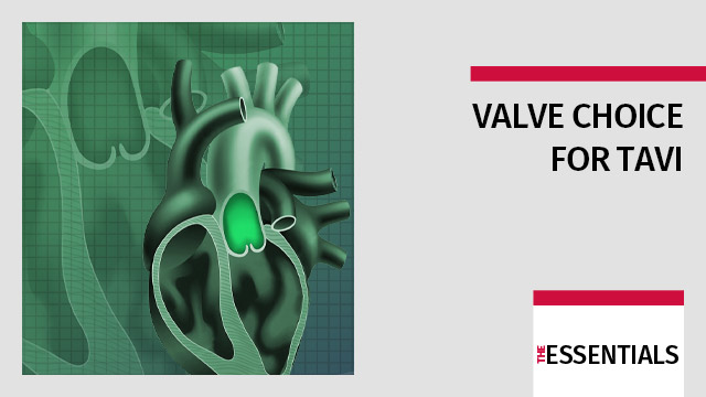 Valve choice for TAVI: pros and cons for intra- and supraanular prostheses