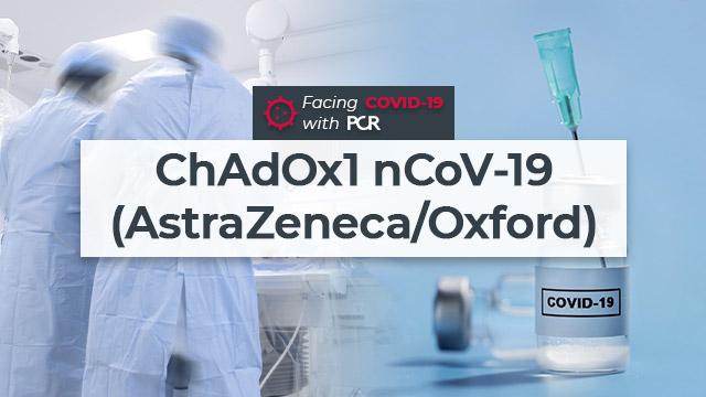 COVID-19: safety and efficacy of the ChAdOx1 nCoV-19 vaccine