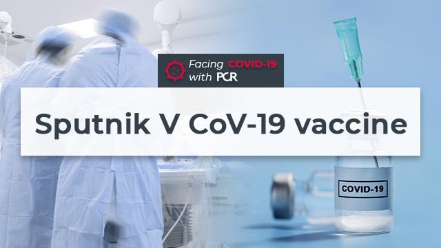 COVID-19: safety and efficacy of the Sputnik V vaccine