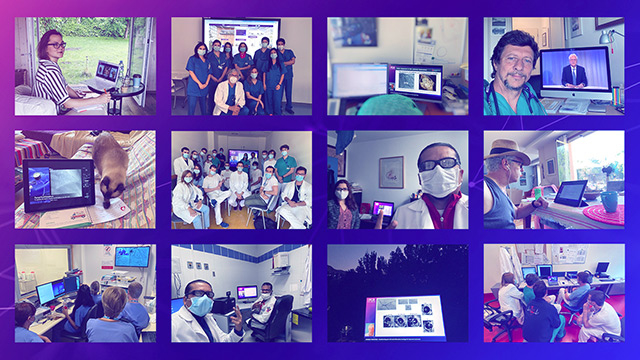 PCR e-Course 2020 – Best of the digital initiative!