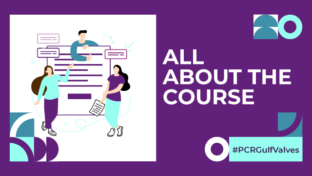 What is PCR Gulf Valves?