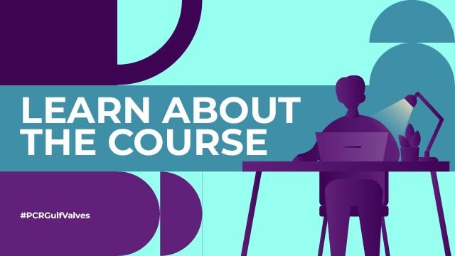 What is PCR Gulf Valves?