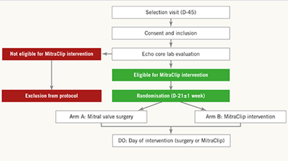 EuroIntervention: MITRA-HR randomised study