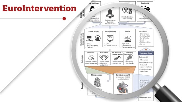 Transcatheter treatment for tricuspid valve disease