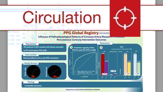 Influence of pathophysiological patterns of coronary artery disease on immediate percutaneous coronary intervention outcomes