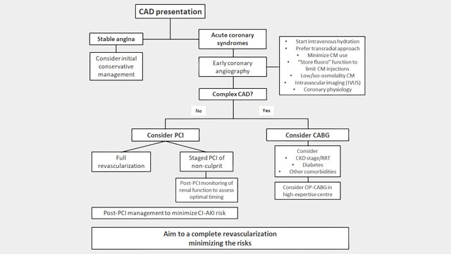 The PCR Textbook chapter on coronary revascularization in patients with chronic kidney disease