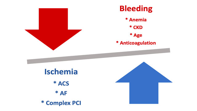Sex differences among patients with high risk receiving Ticagrelor with or without Aspirin after percutaneous coronary intervention: a subgroup analysis of the TWILIGHT randomized clinical trial
