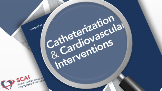 Radial access for chronic total occlusion percutaneous coronary intervention: Insights from the PROGRESS‐CTO registry