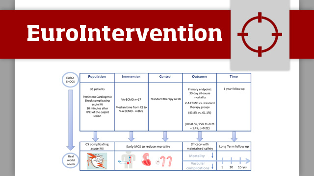 Venoarterial extracorporeal membrane oxygenation or standard care in patients with cardiogenic shock complicating acute myocardial infarction: the multicentre, randomised EURO SHOCK trial