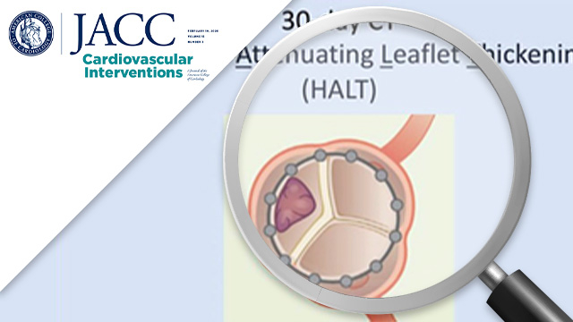 TAVI in low-risk patients with symptomatic severe bicuspid aortic valve stenosis