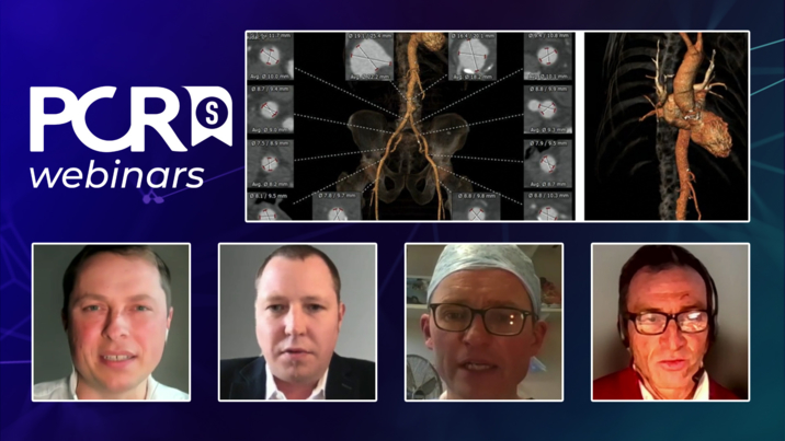 TAVI in bicuspid aortic valve patients: SAPIEN 3 platform, a safe and efficient option