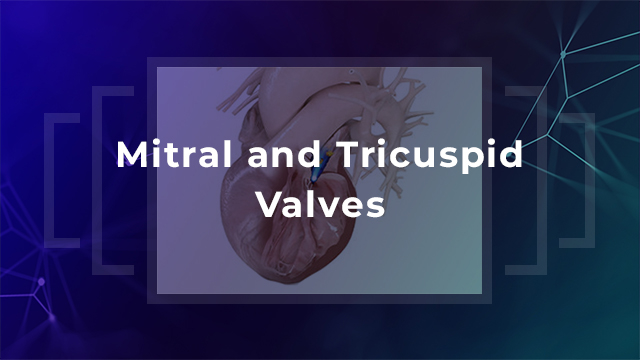Heart Team approaches to the transcatheter management of mitral and tricuspid regurgitation